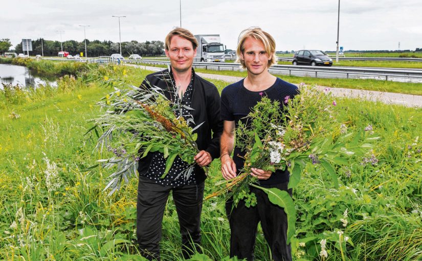 Op landschapsexpeditie rondom de NDSM-werf