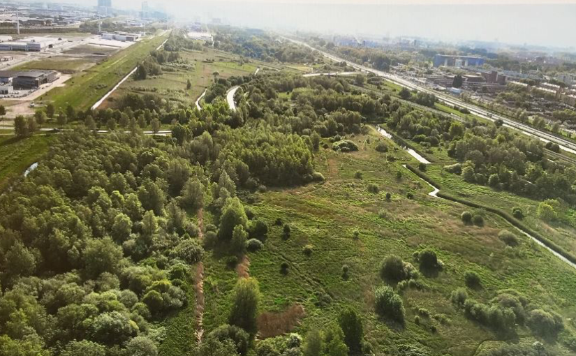 Struinen in de Stadswildernis