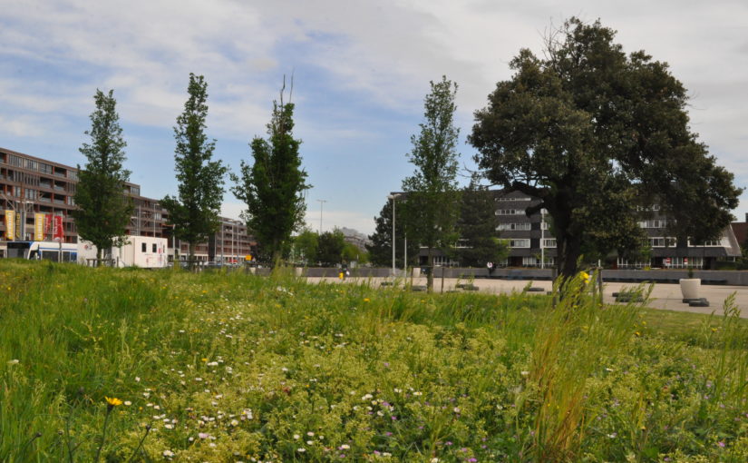 De Groene Aker