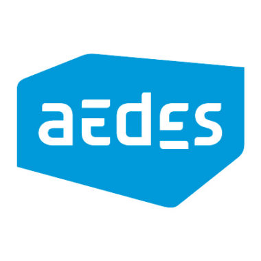Aedes